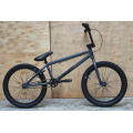 20 Inch Hi-Ten Frame BMX Bike/ Bicicleta/ Dirt Jump BMX